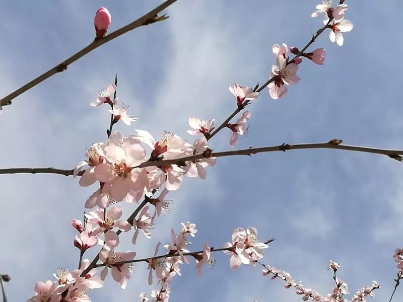 晋城司徒小镇异域风情,晋城皇城相府和司徒小镇