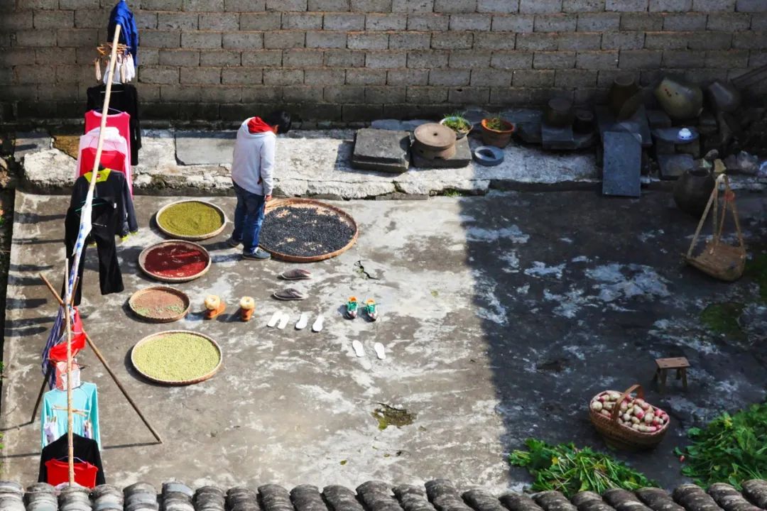 南方人不懂北方人天天吃面,南方人的锅贴北方人不懂