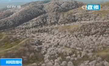 忆清明祖辈给我们留下了什么?