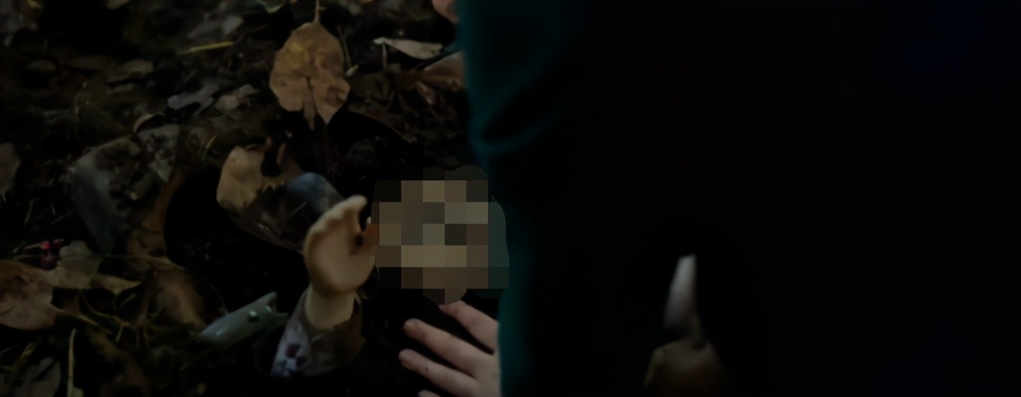 国外的恐怖片好看的有哪些,外国的恐怖片为什么这么恐怖