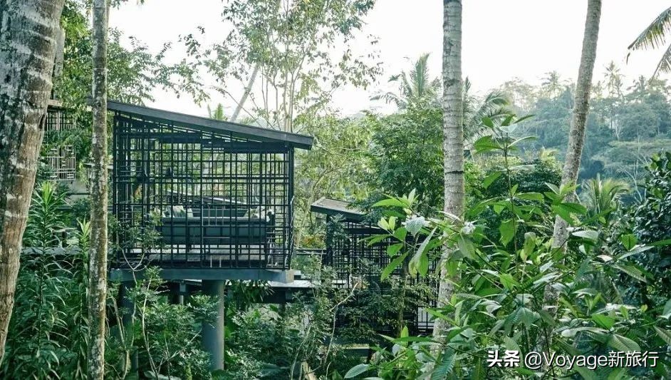 后疫情时代旅游业复苏的应对策略,后疫情时代下的旅游模式