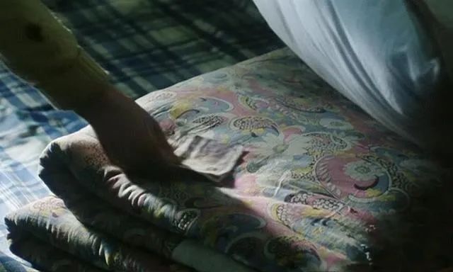 李冰冰警察电影老片子,李冰冰国产电影