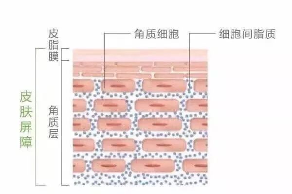 脸颊上的红色痘印怎么消除,红色痘印点阵激光可以消除吗