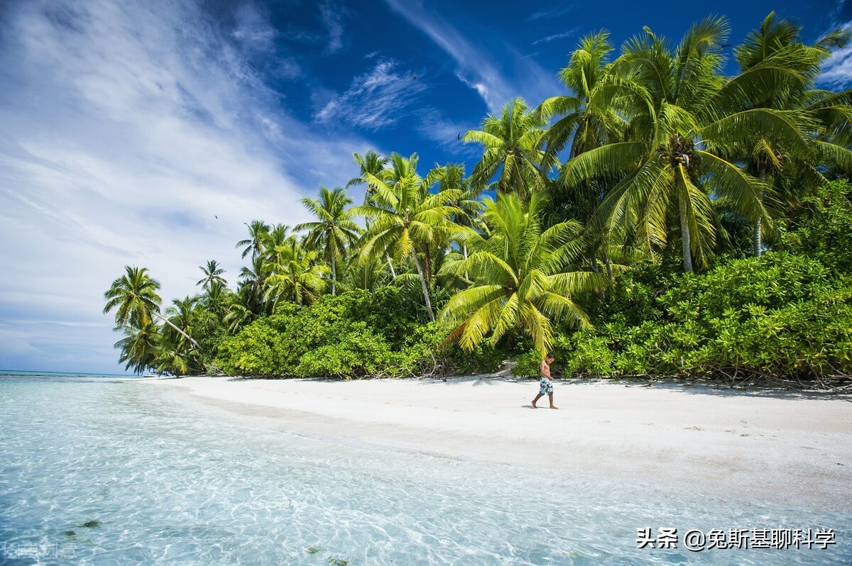 世界上的六个袖珍国家,世界上最袖珍的国家面积