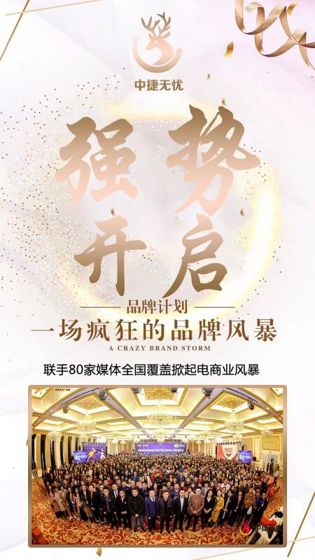 中国电商平台新黑马,中国电商新黑马