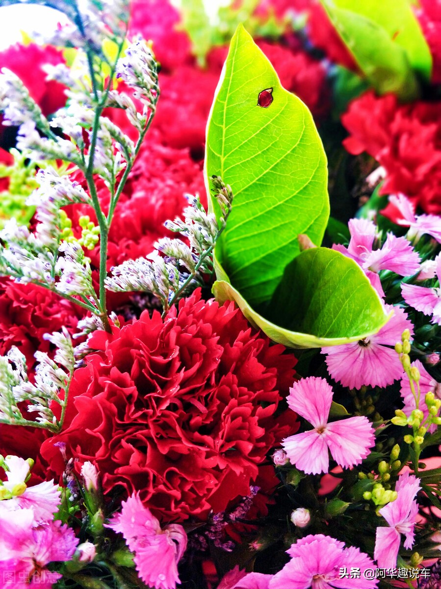 燃油宝添加剂能给汽车清积碳吗,汽车加燃油添加剂能清积碳吗