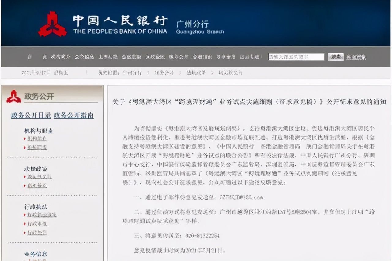 奋进粤港澳大湾区,奋进新征程筑梦大湾区