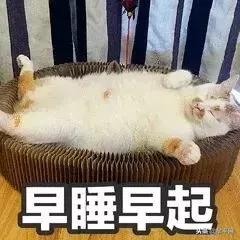 牟平区今天几点下雨,牟平明天天气与风力情况