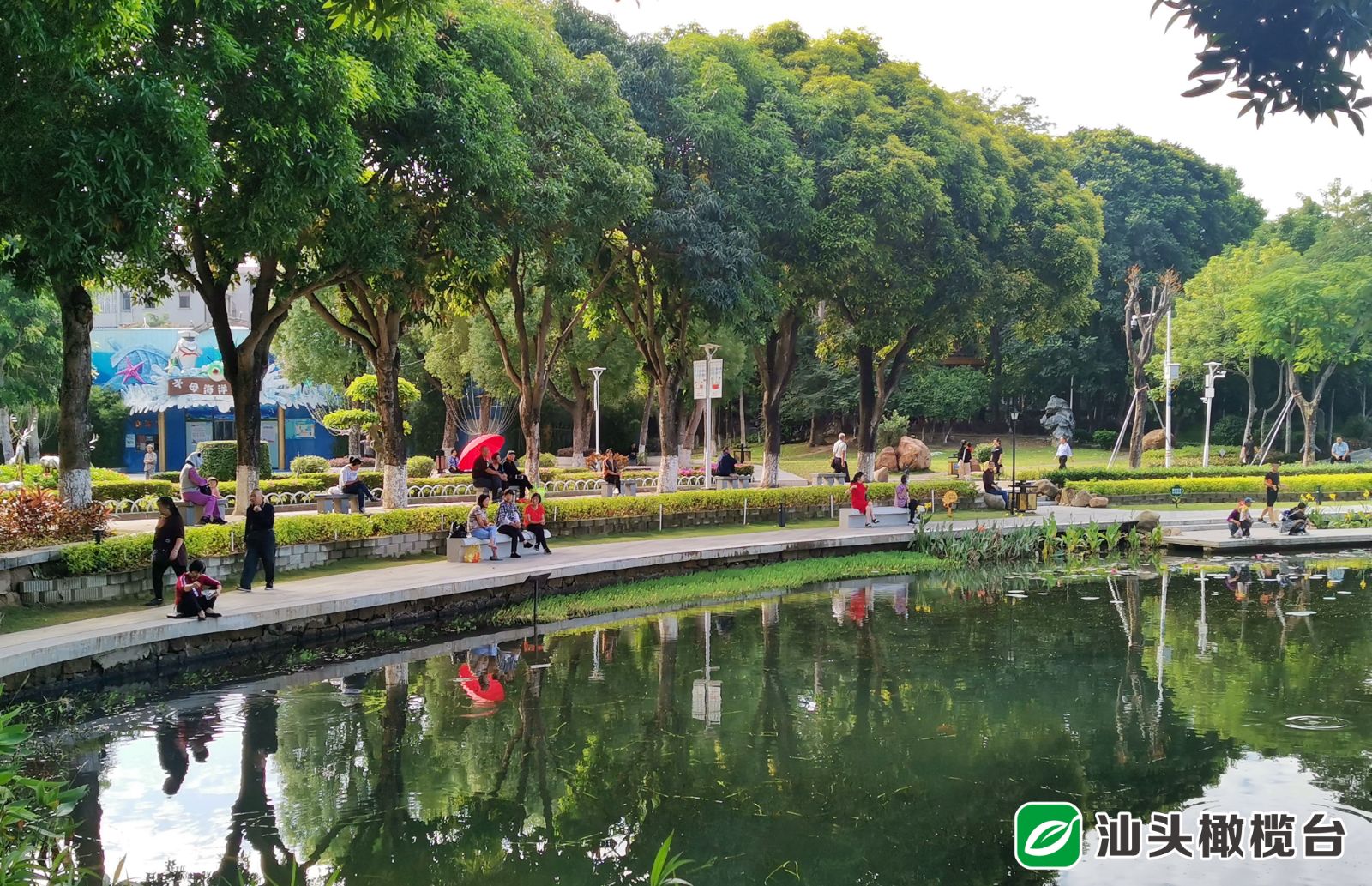 浸春湖水清鱼跃成网红打卡点！金砂公园经改造焕新颜