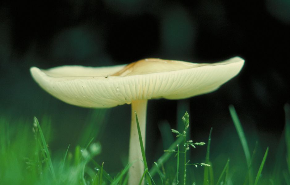 「词风雅韵」李瑾｜一剪梅二十阕