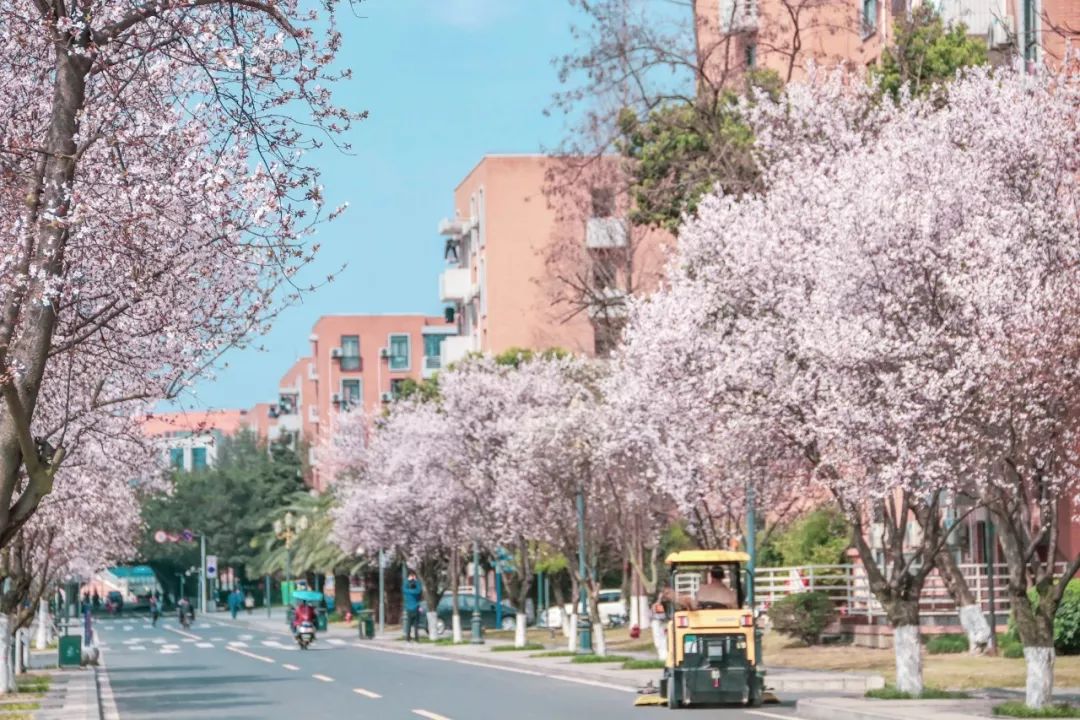 西南民大值得去读吗,西南民大是什么级别