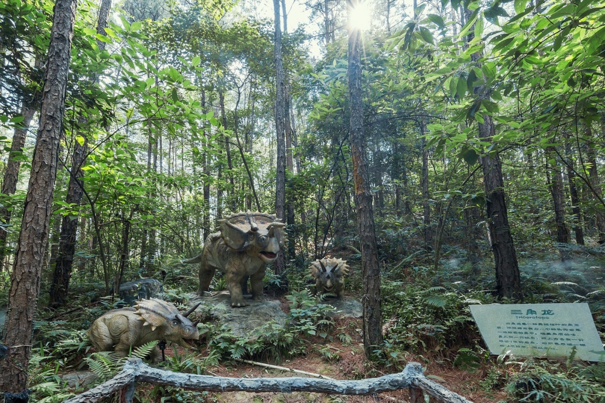 清远森波拉温泉度假村团购,清远森波拉温泉度假村