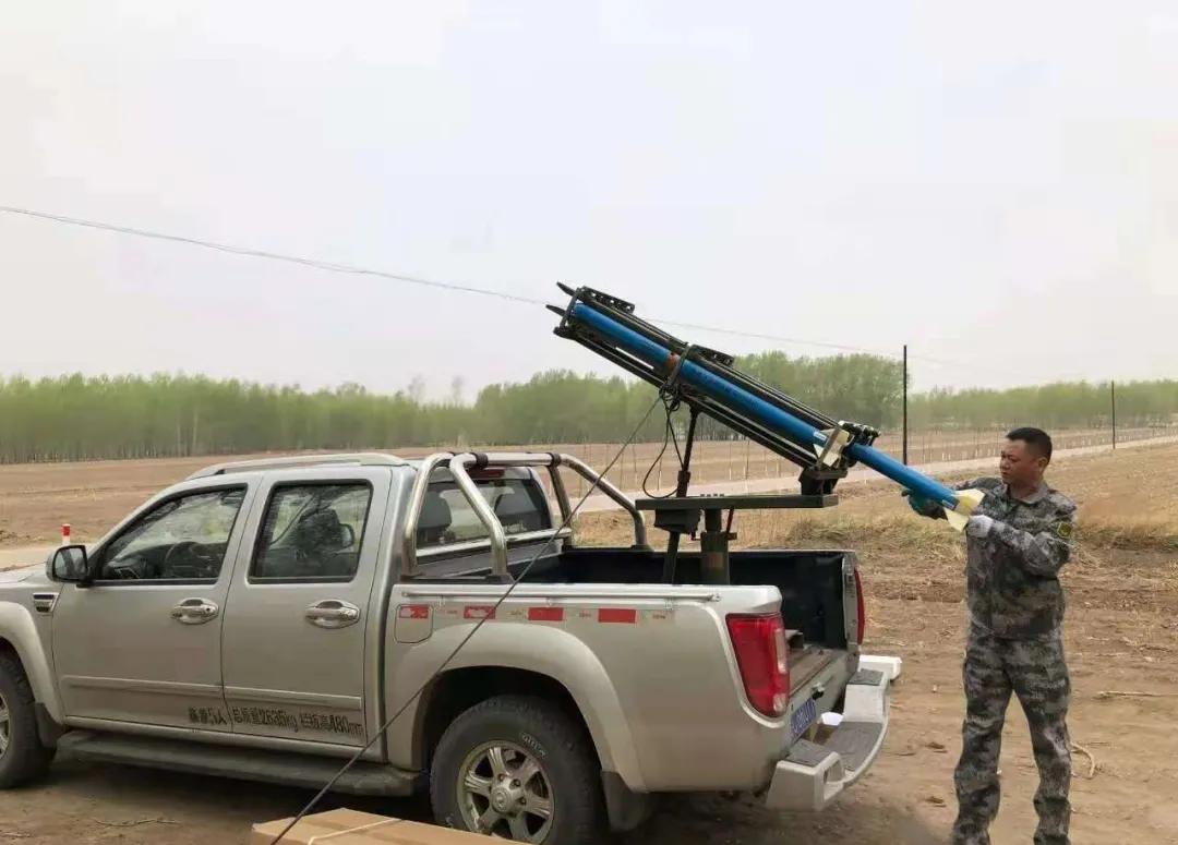 大熊猫这么可爱大家喜欢它吗,耕地中的大熊猫吃什么