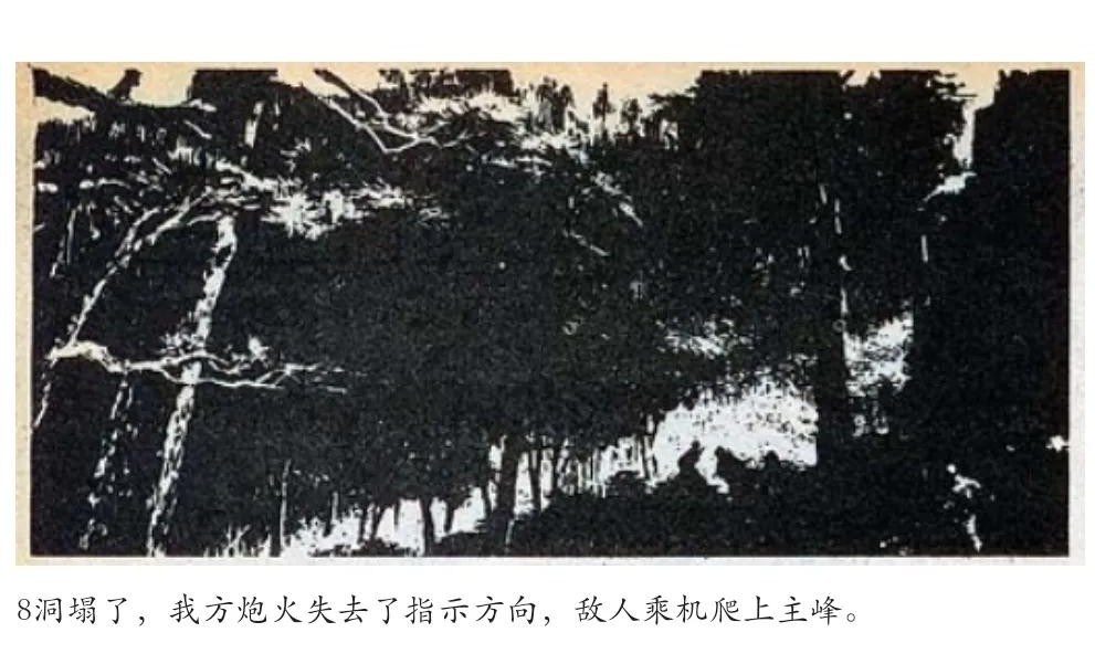 手术刀的故事,手术刀下的故事简介