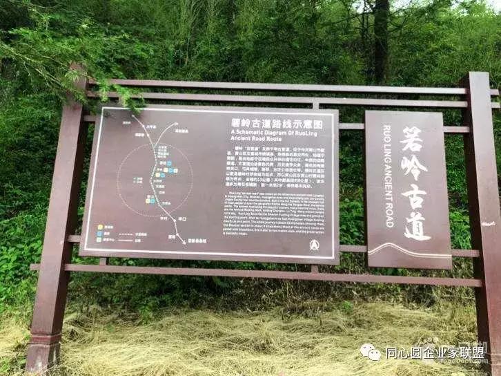 同心圆企业家联盟视频,企业家联盟2019