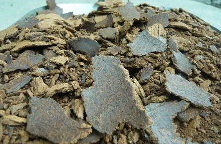 牛牛喂饲料,牛牛一般吃什么饲料