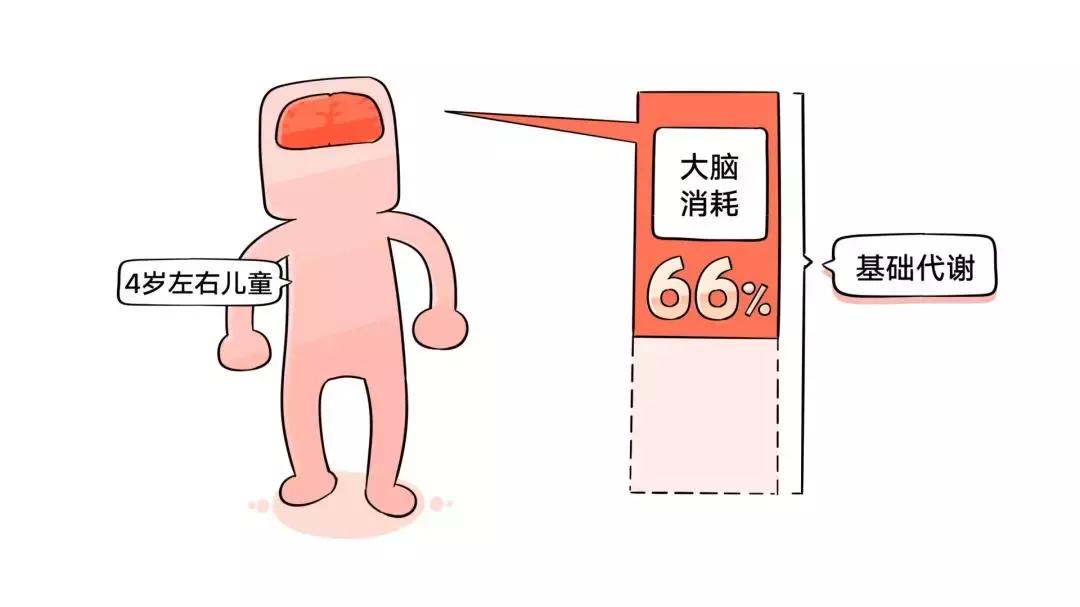 耶鲁大学教授：吃鱼不如吃骨髓！想变聪明、变漂亮最好去吃骨髓！