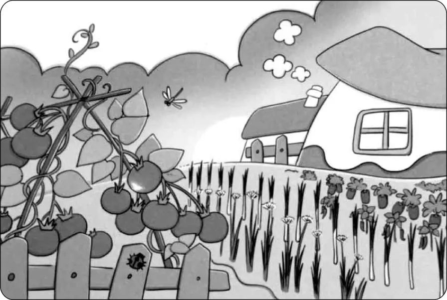 小学一二年级看图写话范文,小学一二年级看图写话范文大全