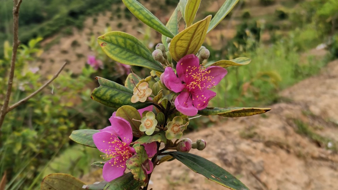 拥有处女座你就拥有全世界,拥有处女座会怎么样