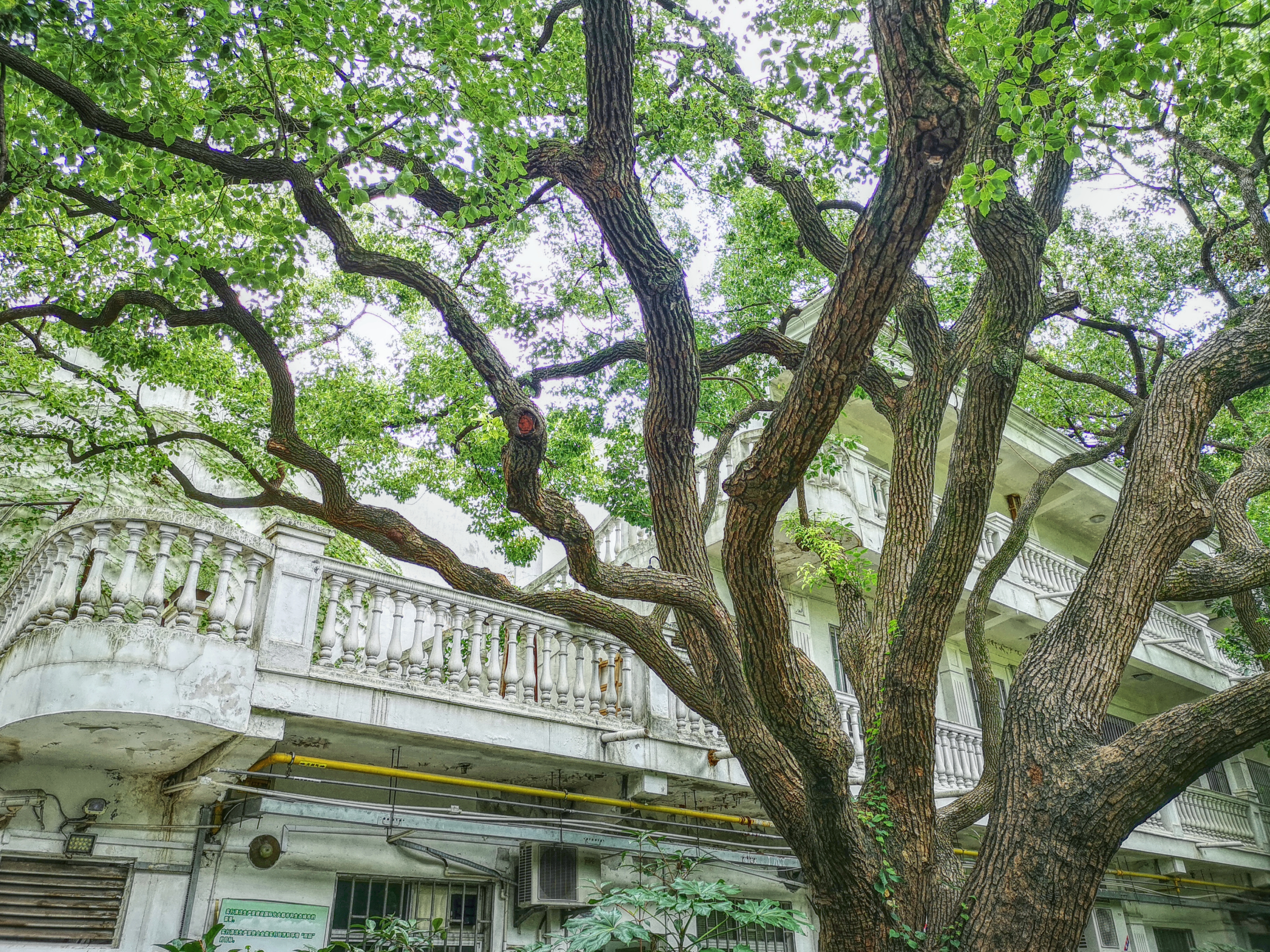 上海陆家嘴有哪些富人,上海陆家嘴低调富豪