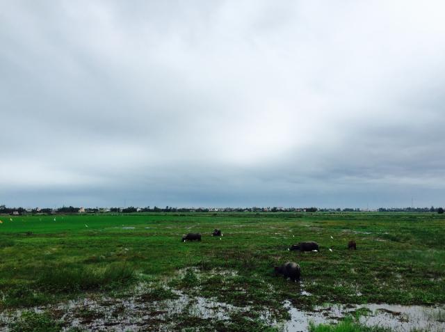 越南经济和我国哪个城市相当,中国和越南经济发展状况