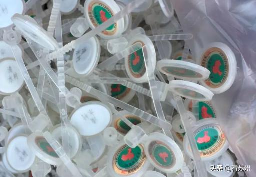 阳澄湖大闸蟹开售,吃货阳澄湖大闸蟹