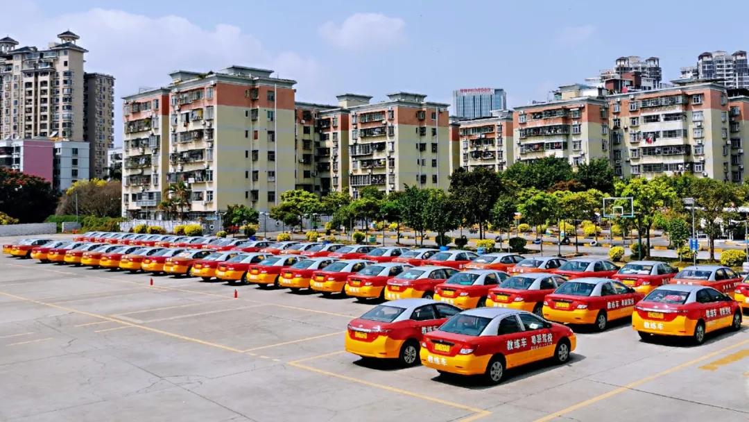 驾校老板被抓,驾校老板被抓了怎么办啊