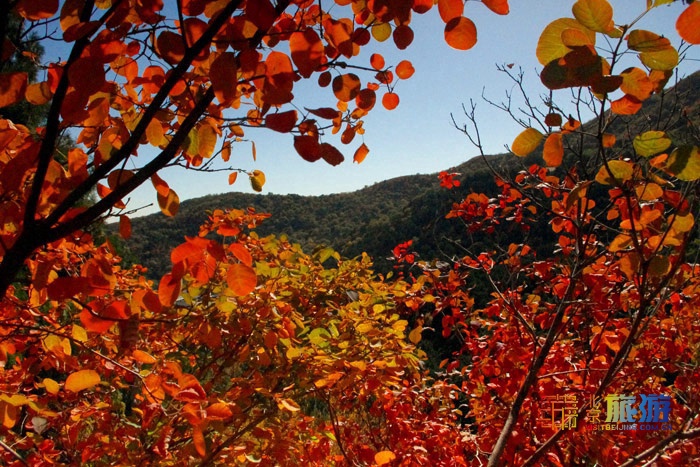 京津冀十大美景,京津冀有名的山