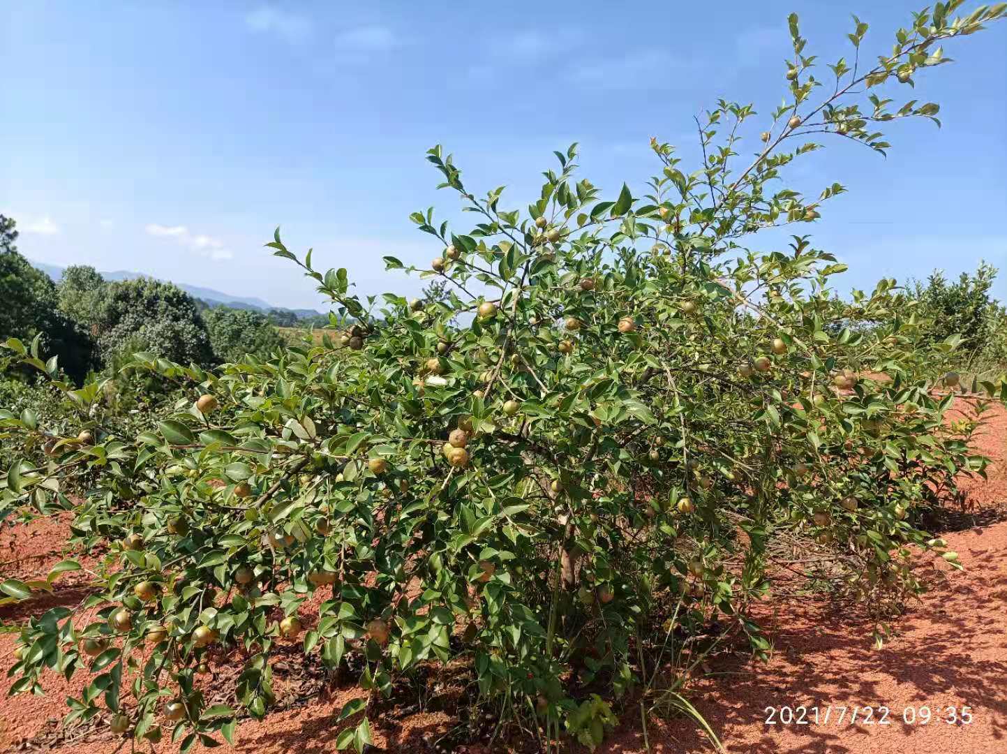 一个乡下来的小伙一单生意赚30万,身无分文在农村怎么做小生意赚钱