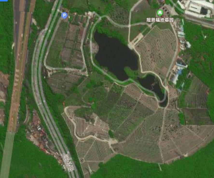 西丽新入市楼盘,西丽新盘