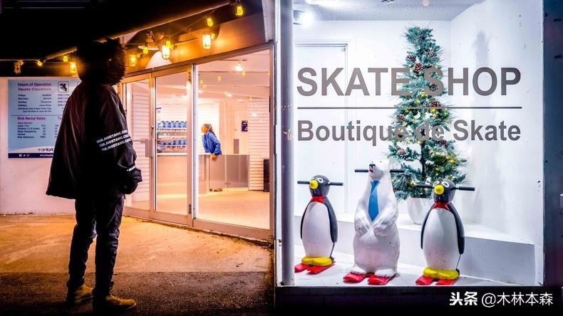 加拿大多伦多生活日记,加拿大多伦多留学生活纪实