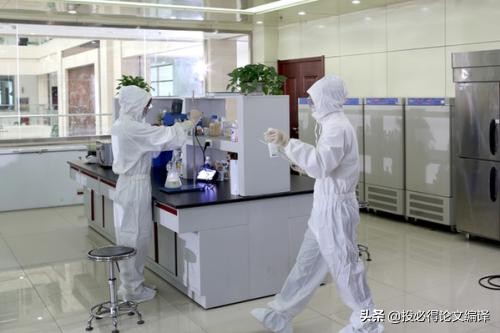 外国导师教我写sci论文摘要,美国导师