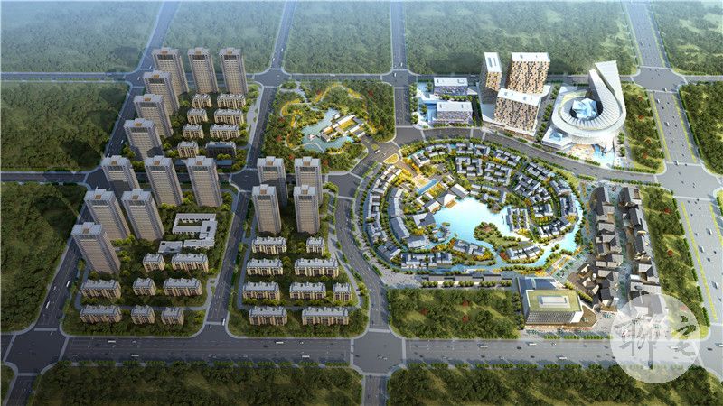 终于明白天后为什么评价他为八爪鱼了