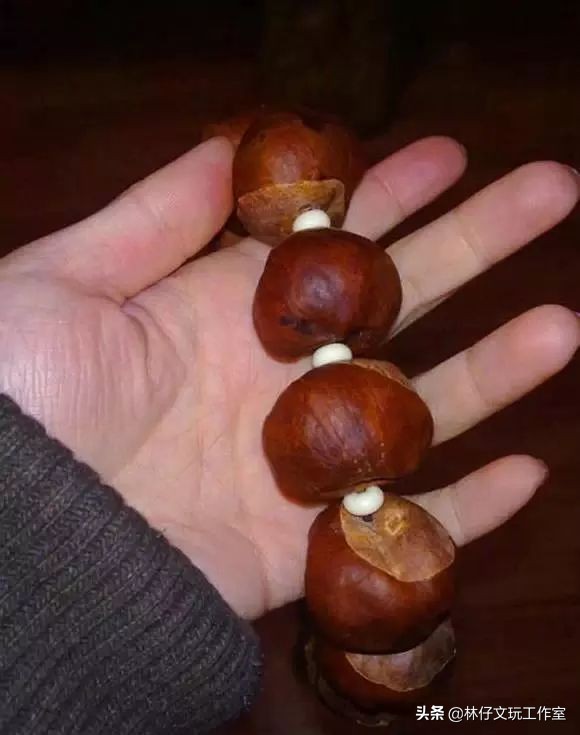 文玩菩提怎么盘好玩图解,文玩菩提入门盘什么