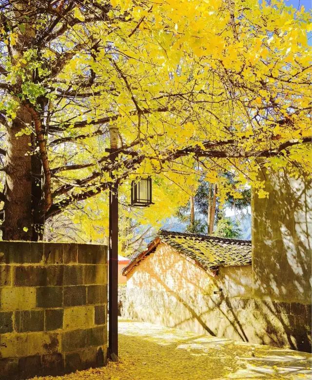 去云南自驾游有哪些景点最美,云南最美打卡景点