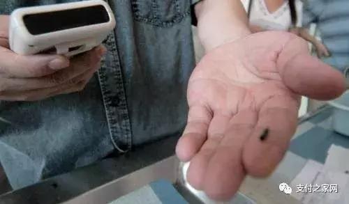 河北打击网络违法,河北打击非法行为