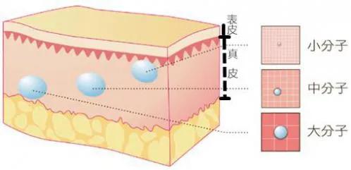 玻尿酸的保湿效果到底有多好？能让明星网红都纷纷跟风推荐