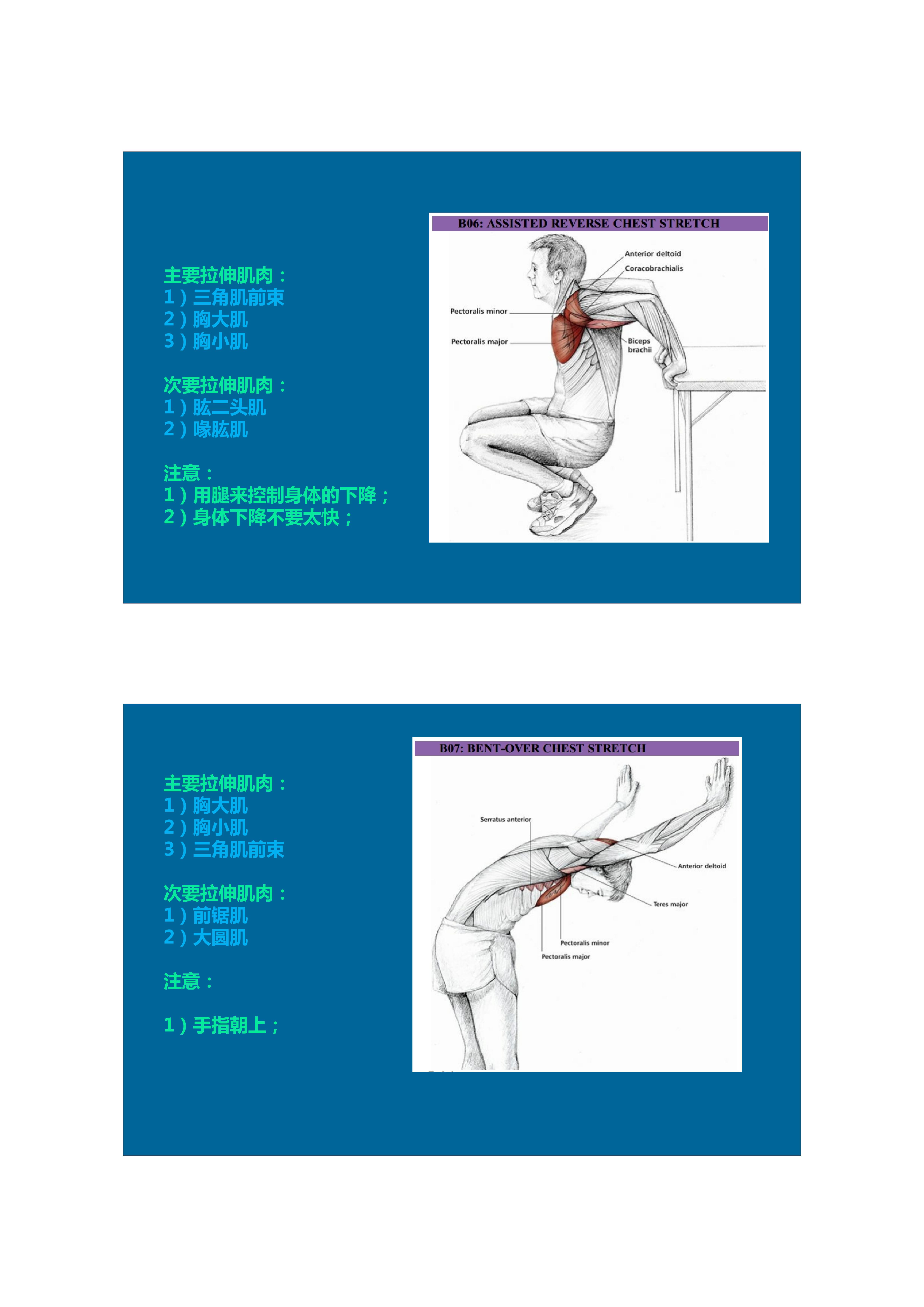 1分钟拉伸动作视频,拉伸腿部技巧