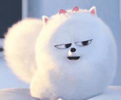 教师资格证认定之后大概多久发证,教师资格证是怎么拿到的