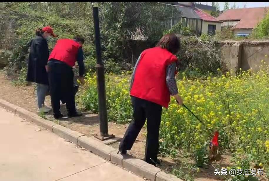 一季度经济形势分析会交流发言,一季度经济形势分析会2023讲话