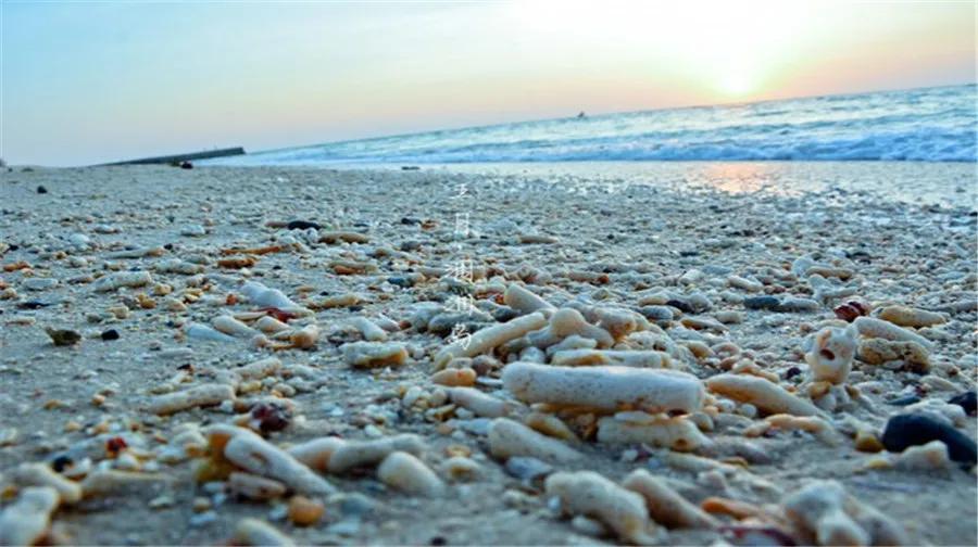 安利游玩攻略,安利北海