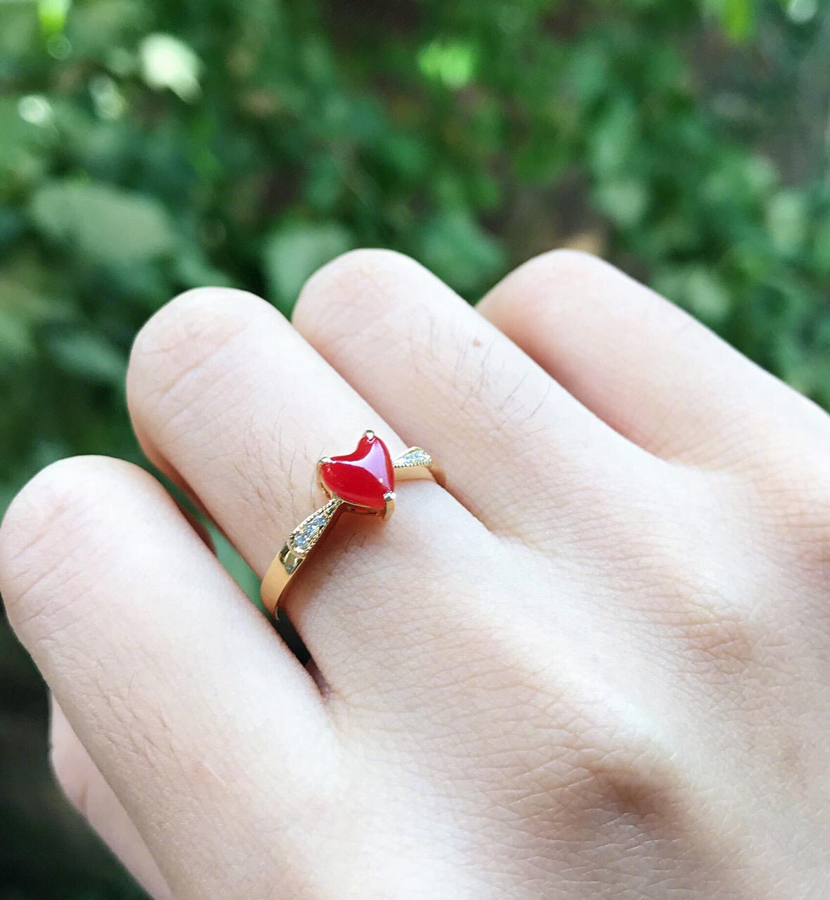 红珊瑚最怕什么,红珊瑚警惕