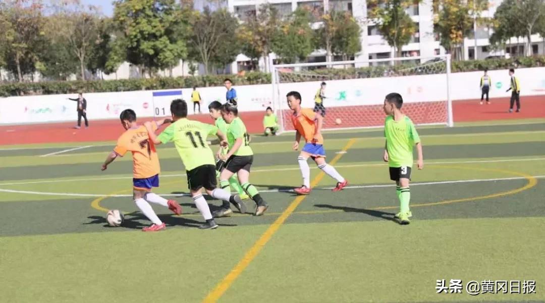 红安县教育系统,红安新起点教育