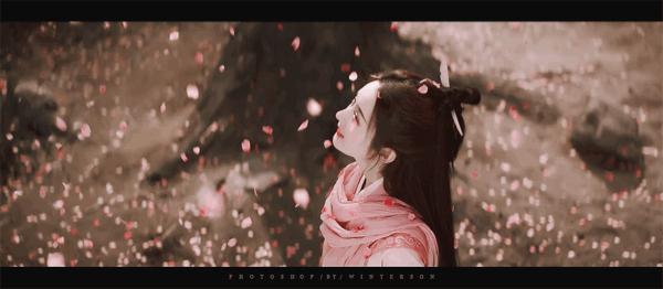 一任群芳妒,一任群芳妒上一句是什么