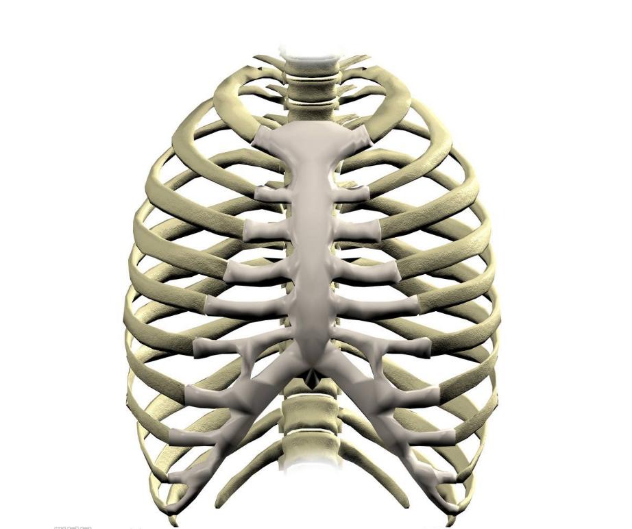 第一次生孩子都发生过什么奇葩事,生孩子的5件尴尬事动画讲解