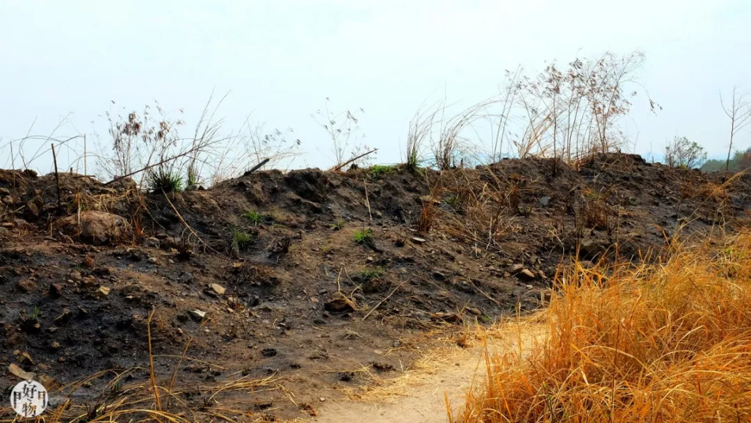 免签去泰国买单程机票可以吗,泰国旅游自费