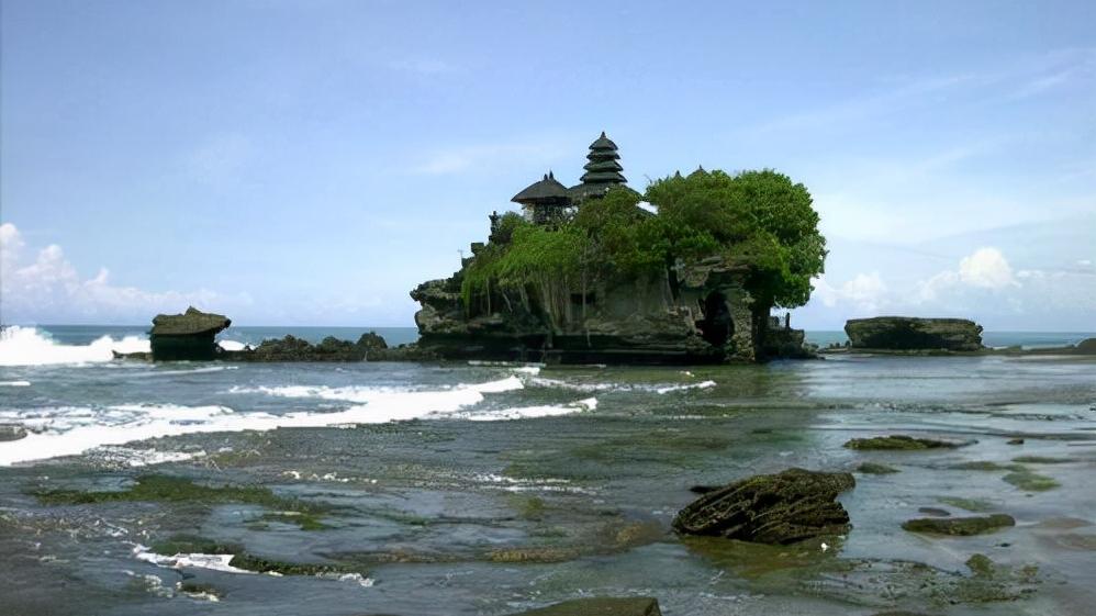 头骨最值钱鸟,头骨很珍贵的鸟