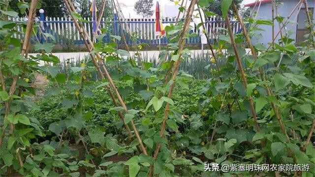 绉︾殗宀涙梾娓稿彲浠ュ嚭娴锋崟楸肩殑鍦版柟 (绉︾殗宀涚墽娴疯繙鑸啘瀹堕櫌)