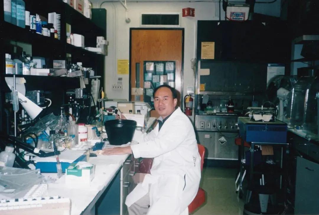 从乡村走出的骨科夫妻,未来的妇科男神