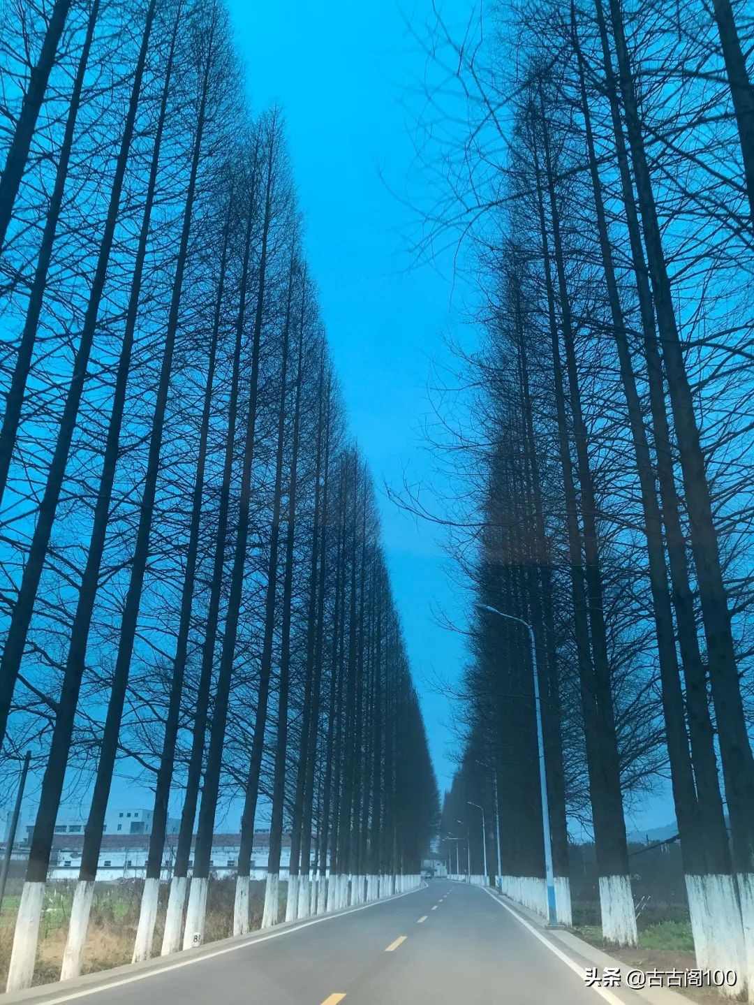 萧绍古道在哪里,萧绍古道古纤道